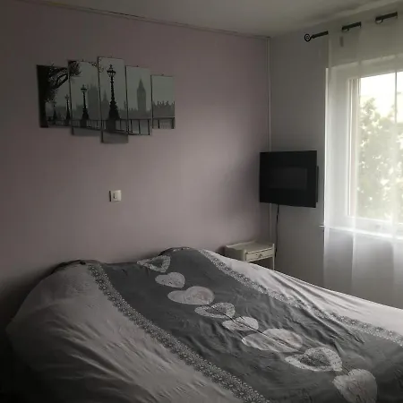 Apartment 2 Pieces - Quartier Calme - Parking Gratuit Metz