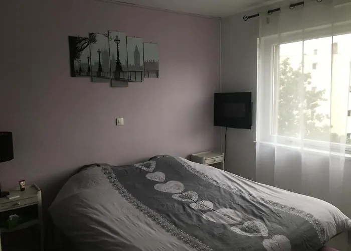 Lejlighed 2 Pieces - Quartier Calme - Parking Gratuit Metz